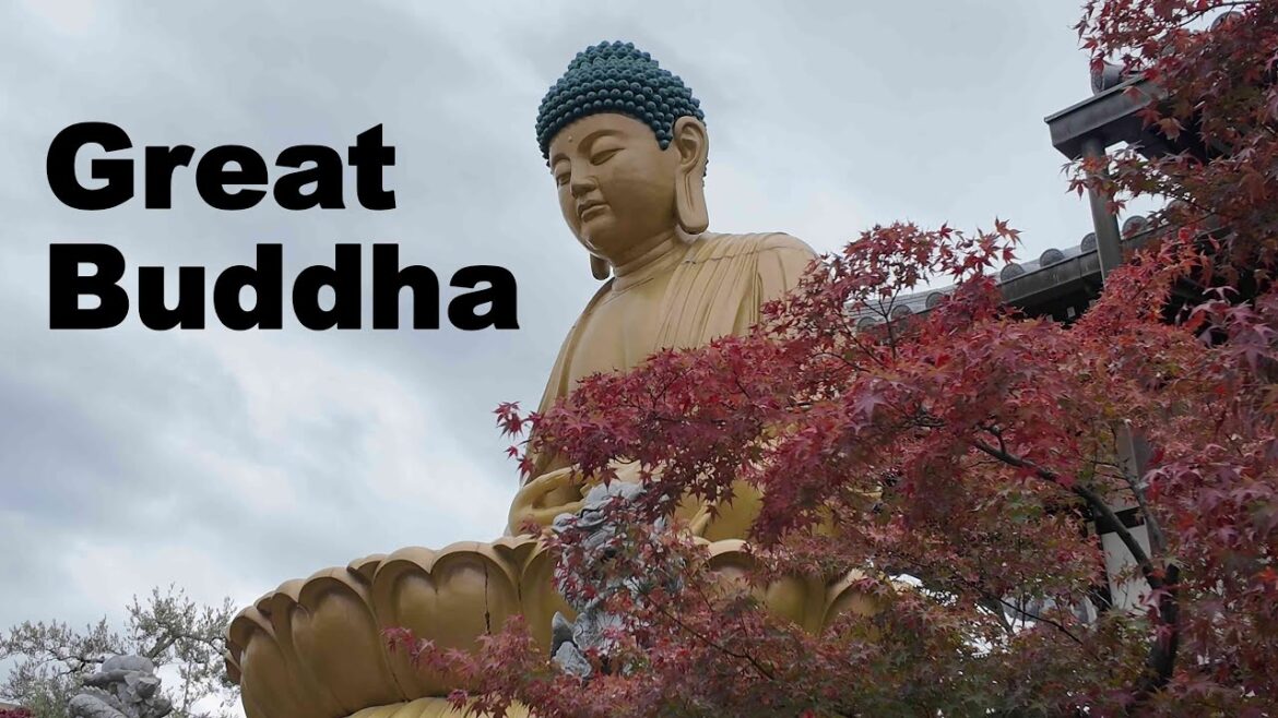 JAPAN VLOG | GREAT BUDDHA in Fuko-ji Temple | Nagoya City