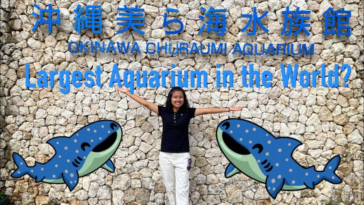 OKINAWA CHURAUMI AQUARIUM