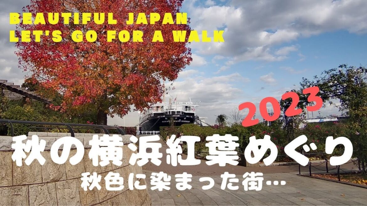 【横浜紅葉】秋の横浜紅葉めぐり。秋色に染まった街…