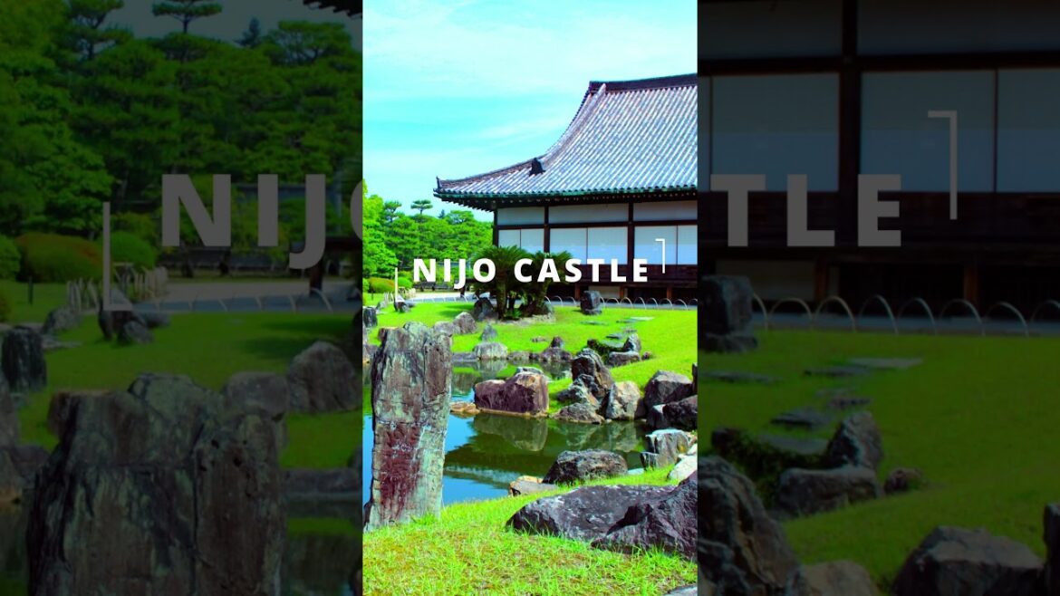 Top 10 Places You Can’t Miss in Kyoto #shorts  #kyoto #japan Top 10 Places You Can't Miss in Kyoto #shorts  #kyoto #japan