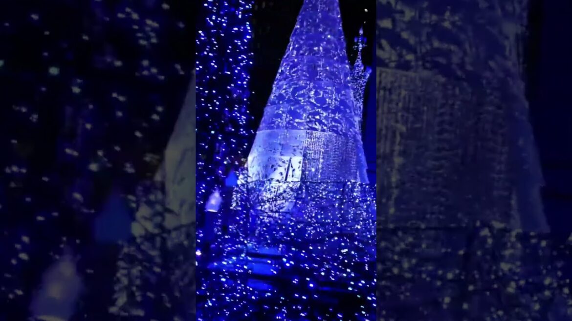 WINTER ILLUMINATIONS in TOKYO #tokyo #japan #japanese #illumination #winter