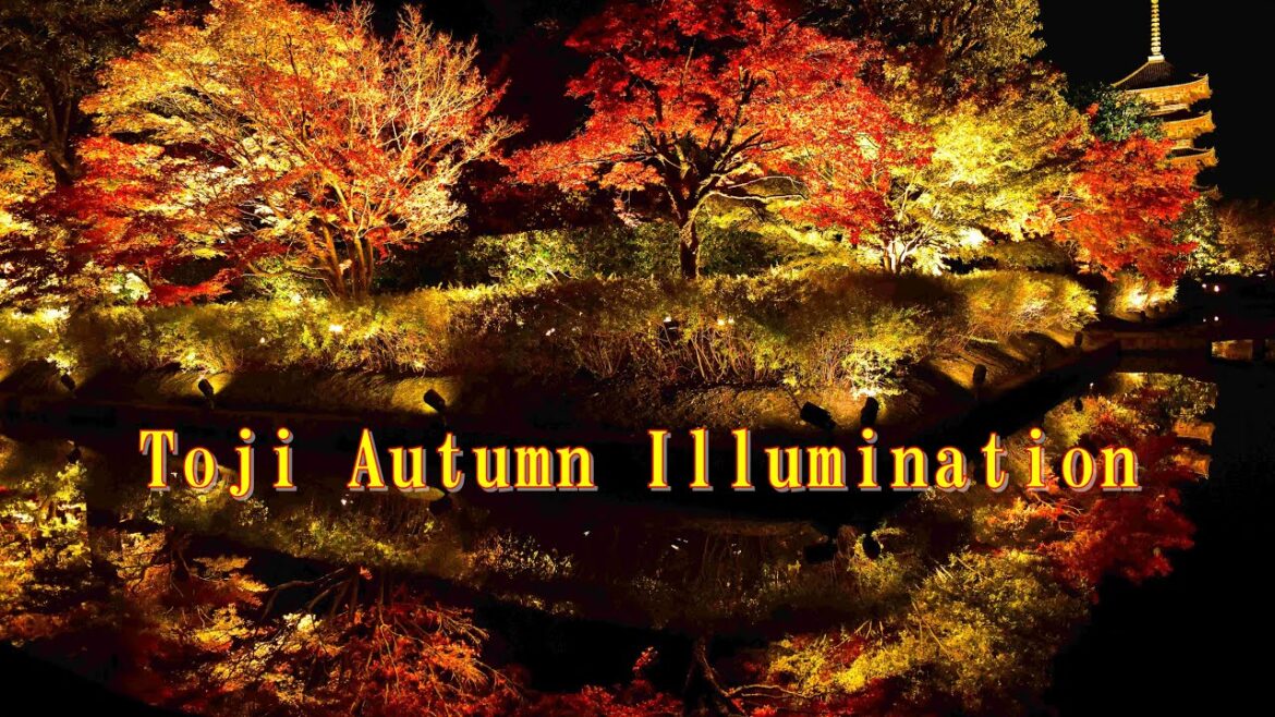 Autumn in Kyoto 2023 | Episode 6 – Toji Autumn Illumination | #東寺 Autumn in Kyoto 2023 | Episode 6 - Toji Autumn Illumination | #東寺
