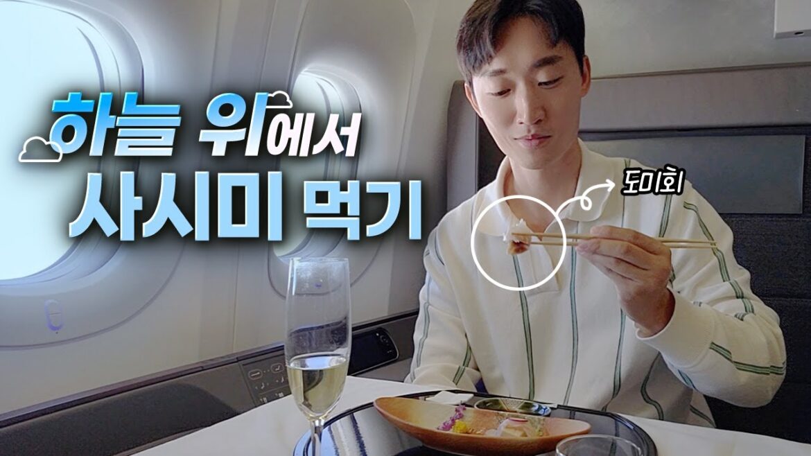 일본 최고의 비행기 일등석 일본 최고의 비행기 일등석