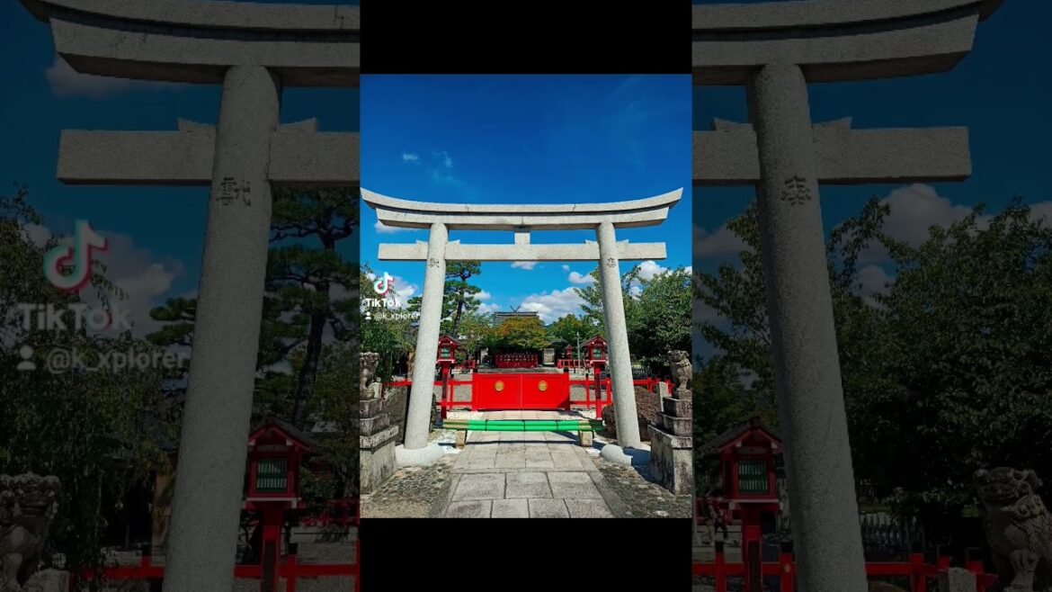 #fyp #japan #travel #kyoto #gasshow #Ado