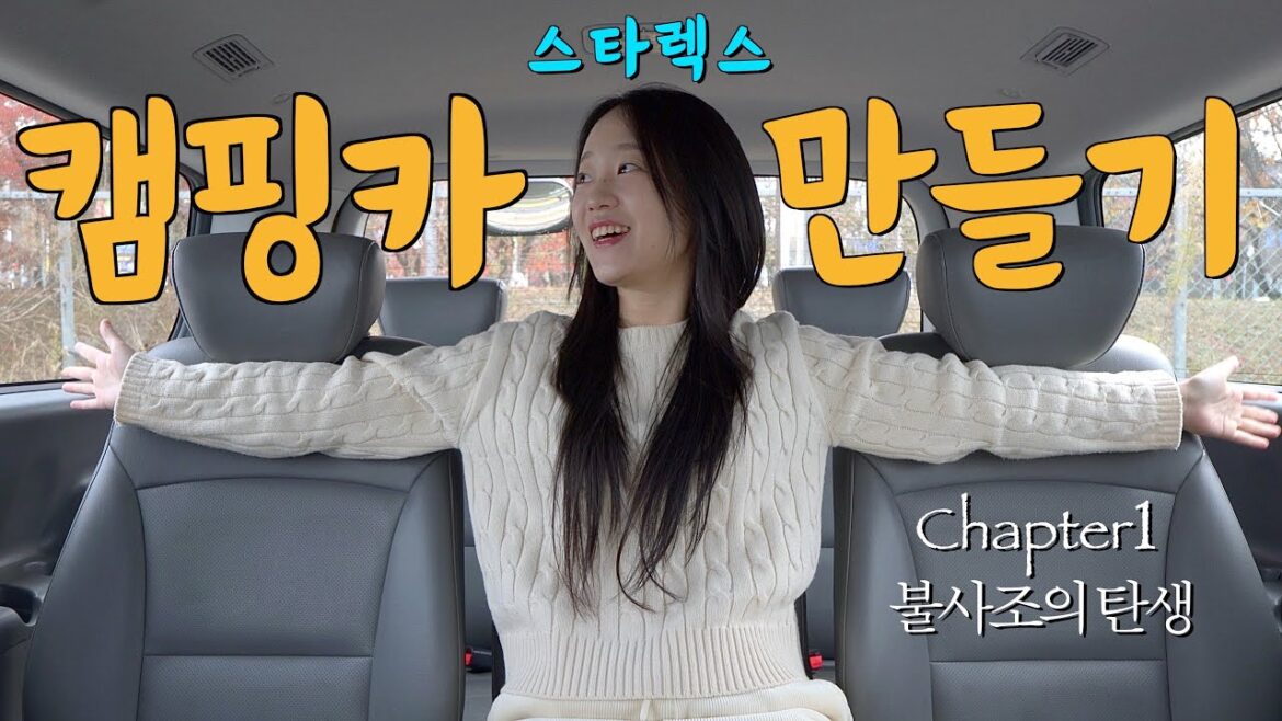 캠핑카 만들려고 차 샀습니다 / 자작 캠핑카 / 스타렉스 캠핑카 / 차박 / 중고차 / van life / campervan / camping car