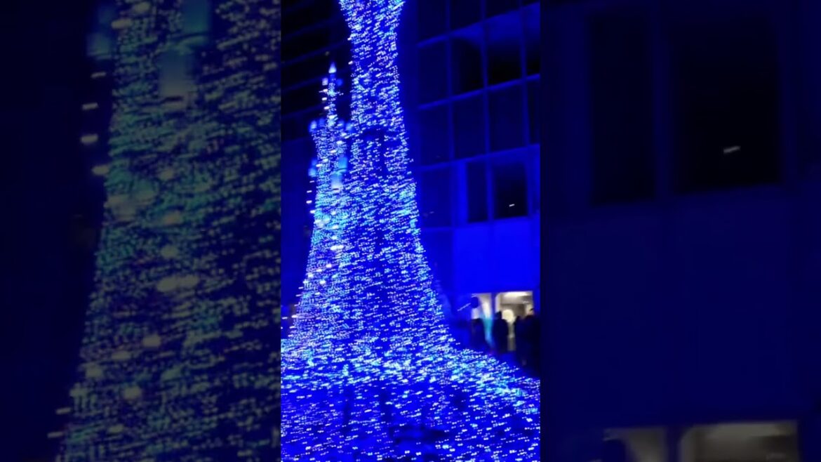 WINTER ILLUMINATIONS in TOKYO #tokyo #japan #japanese #illumination #winter