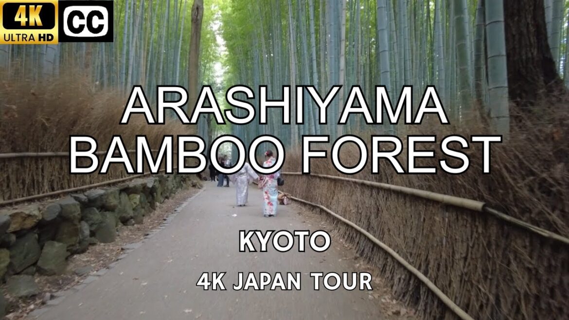 [4K] Japan Walk Tour | Arashiyama Bamboo Forest | Kyoto