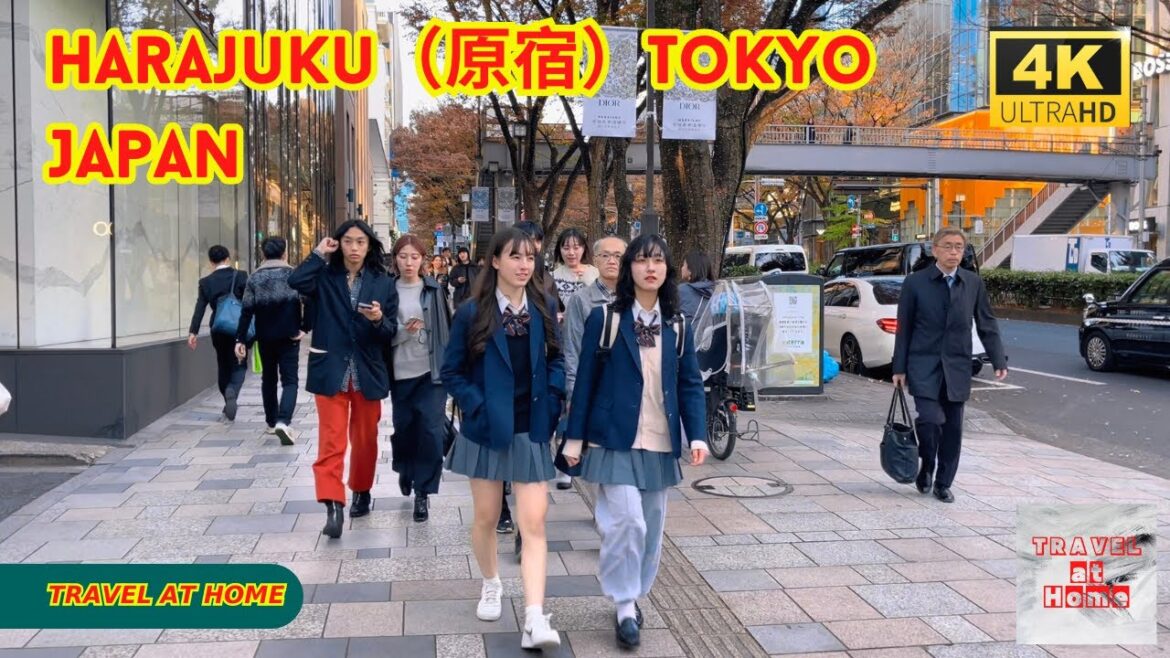4k hdr japan travel | Walk in Harajuku（原宿）Tokyo japan |  Relaxing Natural City ambience