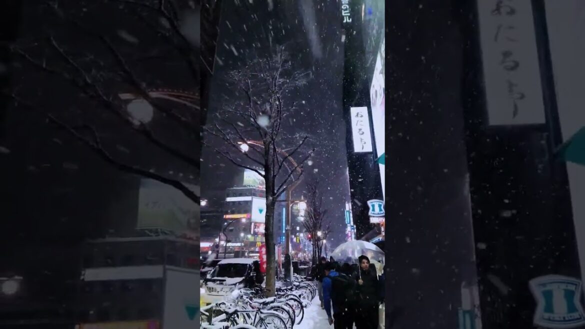 大雪紛飛的札幌街頭 #travel #北海道 #sapporo #日本旅遊