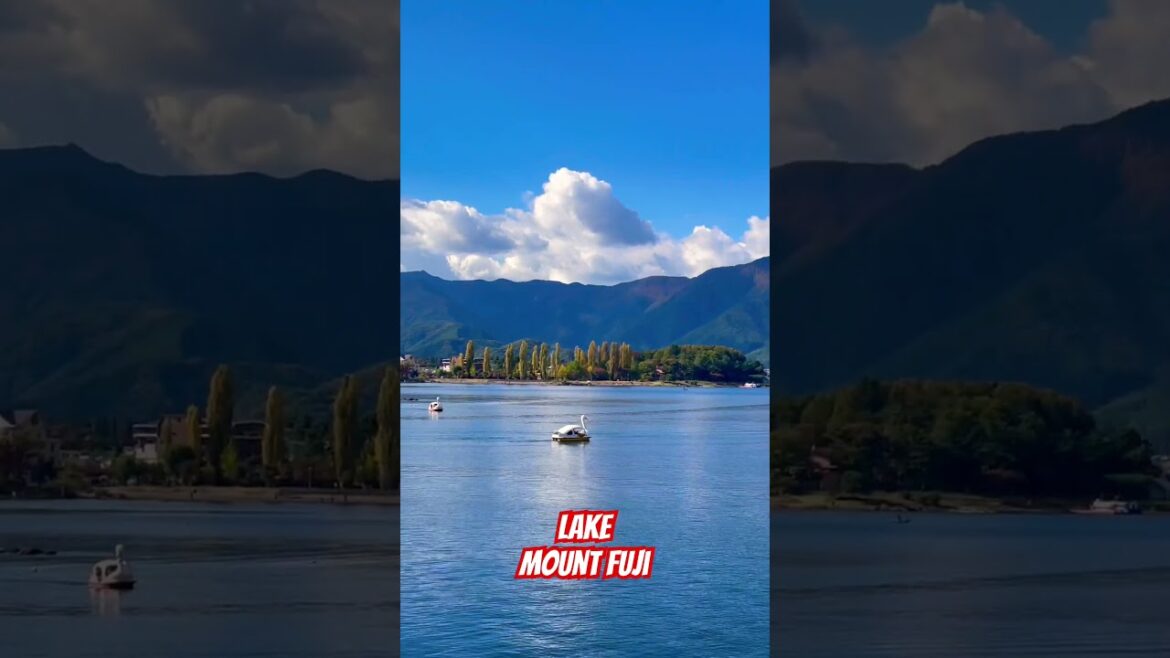 Lake Mount Fuji | Japan Travelog