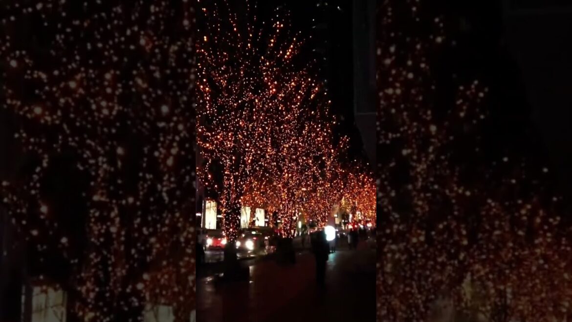 WINTER ILLUMINATIONS in TOKYO #tokyo #japan #japanese #illumination #winter