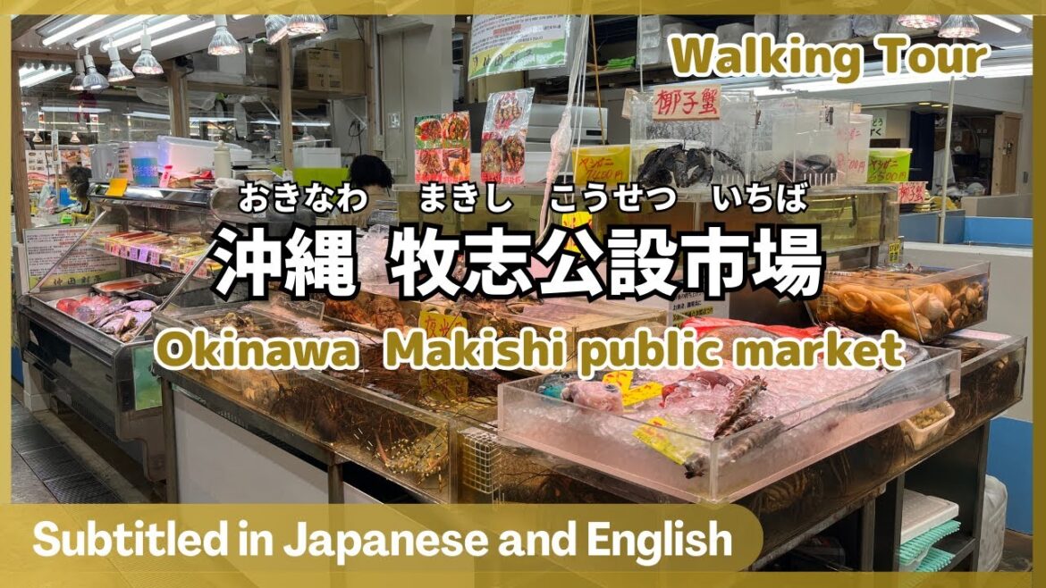 Walking Tour -Okinawa Makishi public market【 Subtitled in Japanese and English】 Walking Tour -Okinawa Makishi public market【 Subtitled in Japanese and English】