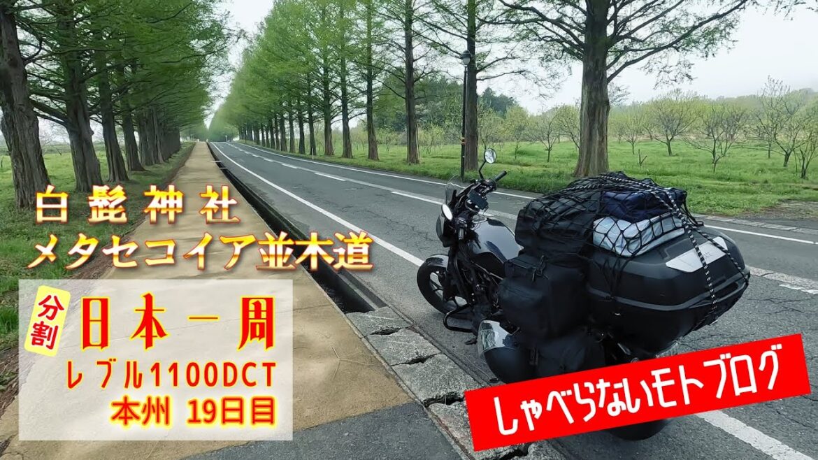 【レブル1100】ゆっくり日本一周ツーリング・キャンプ (バイク旅）19日目(計56日目)　白髭神社、メタセコイア並木道、三方五湖レインボーライン山頂公園