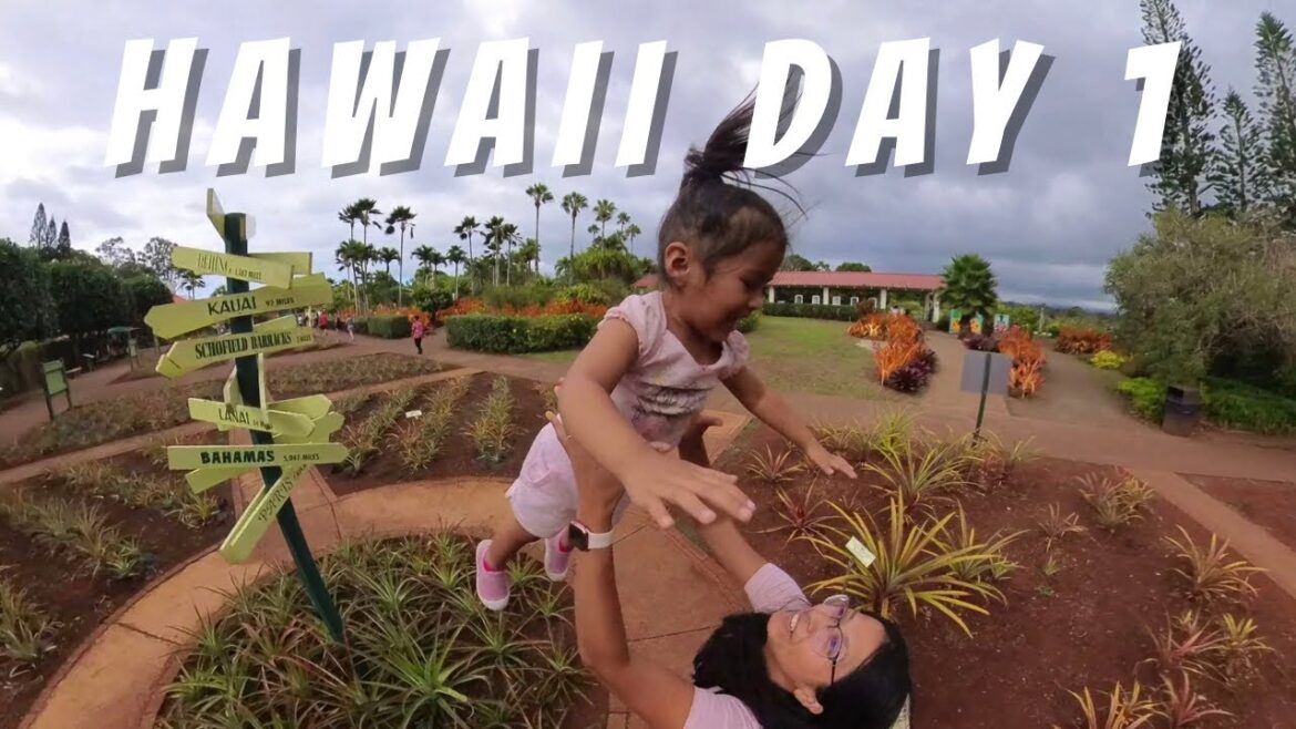 Hawaii, Oahu, Anniversary Day 1 | LAX - HNL, Dole Plantation, Alohilani, Ala Moana Center