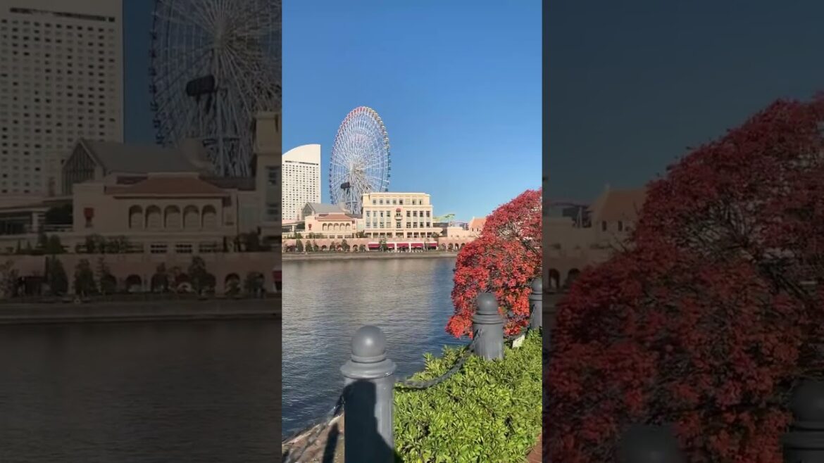 Autumn colors in Minato Mirai 21 #japanwalker #travel #japanesecity #japan #vlog #yokohama