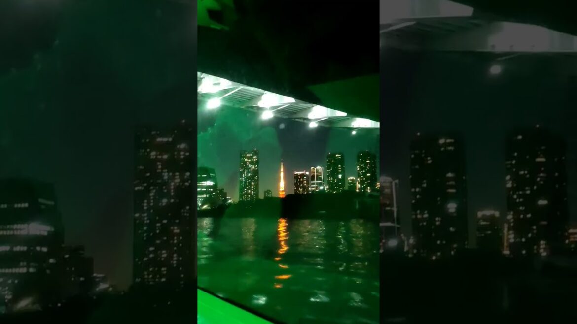 Evening cruise from Asakusa to Odaiba🗼 #japan #travel #tokyo