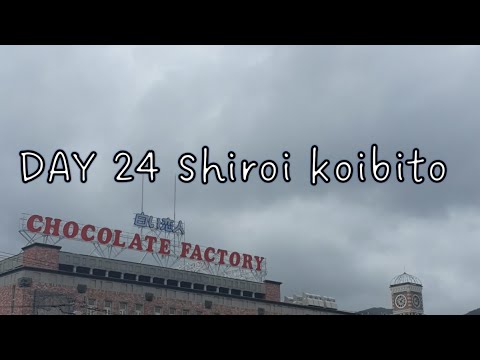 Solo travel vlogs Day24 Shiroi koibito park Solo travel vlogs Day24 Shiroi koibito park