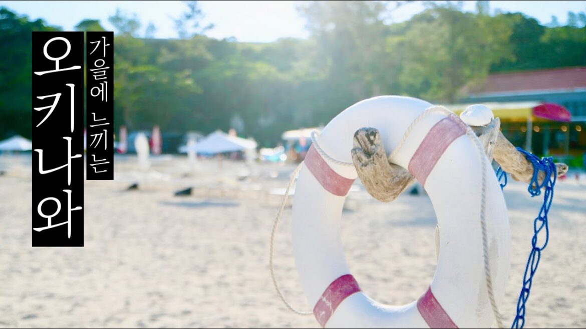 5일간의 오키나와 여행 🌺 (Full VOD | 풀영상) 5일간의 오키나와 여행 🌺 (Full VOD | 풀영상)