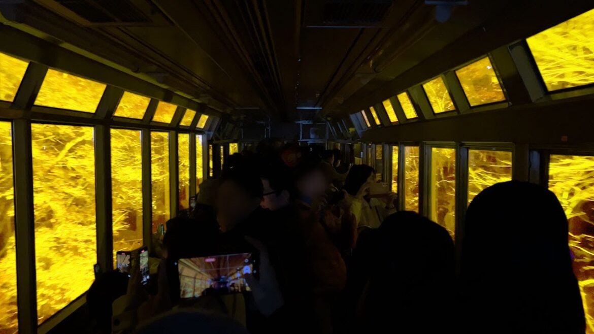 Riding on Japan’s Autumn Panorama Train in Kyoto / Eizan Electric Railway KIRARA / 叡山電鉄 きらら もみじのトンネル Riding on Japan's Autumn Panorama Train in Kyoto / Eizan Electric Railway KIRARA / 叡山電鉄 きらら もみじのトンネル