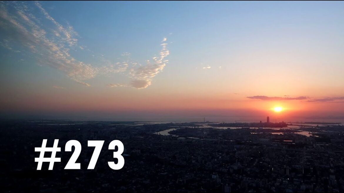 VLOG #273 UN MARCHÉ,UN PARC ET UNE VUE EXTRAORDINAIRE SUR OSAKA!