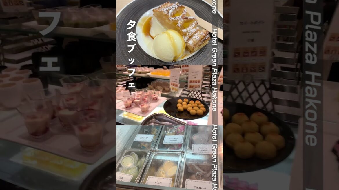 『王様に捧げる薬指』のロケ地Green Plaza Hotel箱根に宿泊＃Shorts