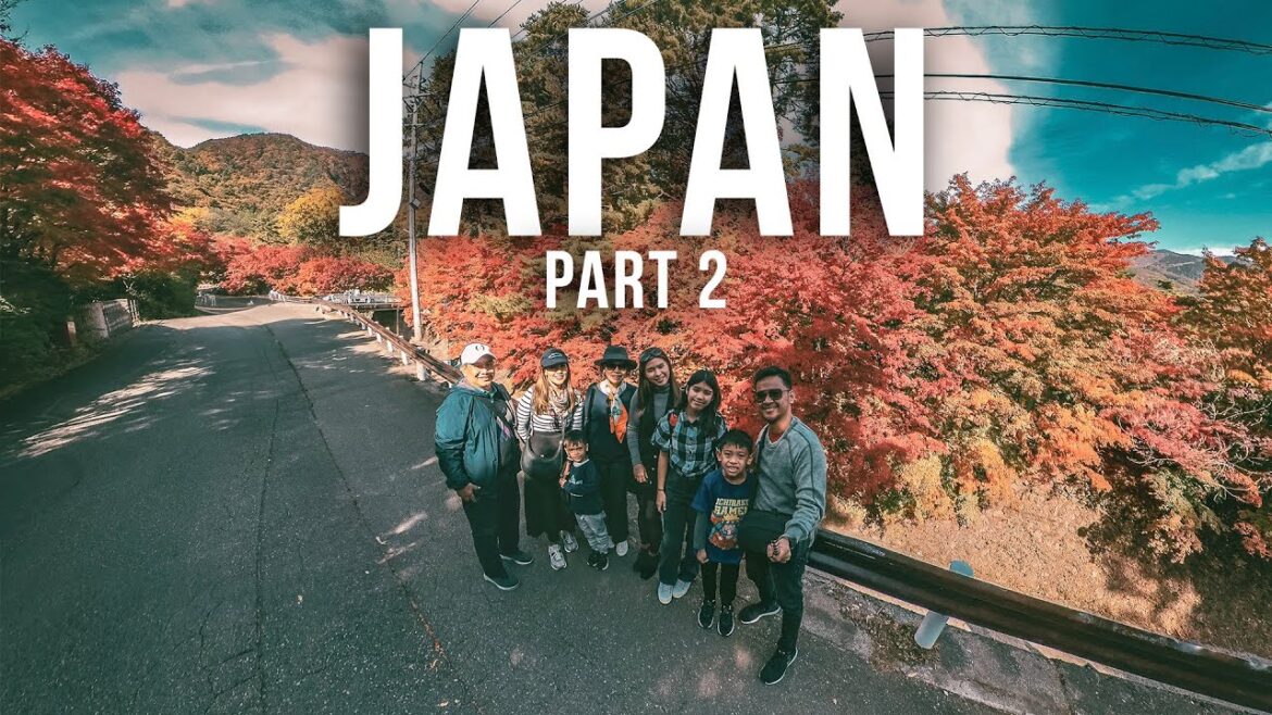 Japan Vlog Part 2 Food, Universal Studios, Disney Land, Mt Fuji