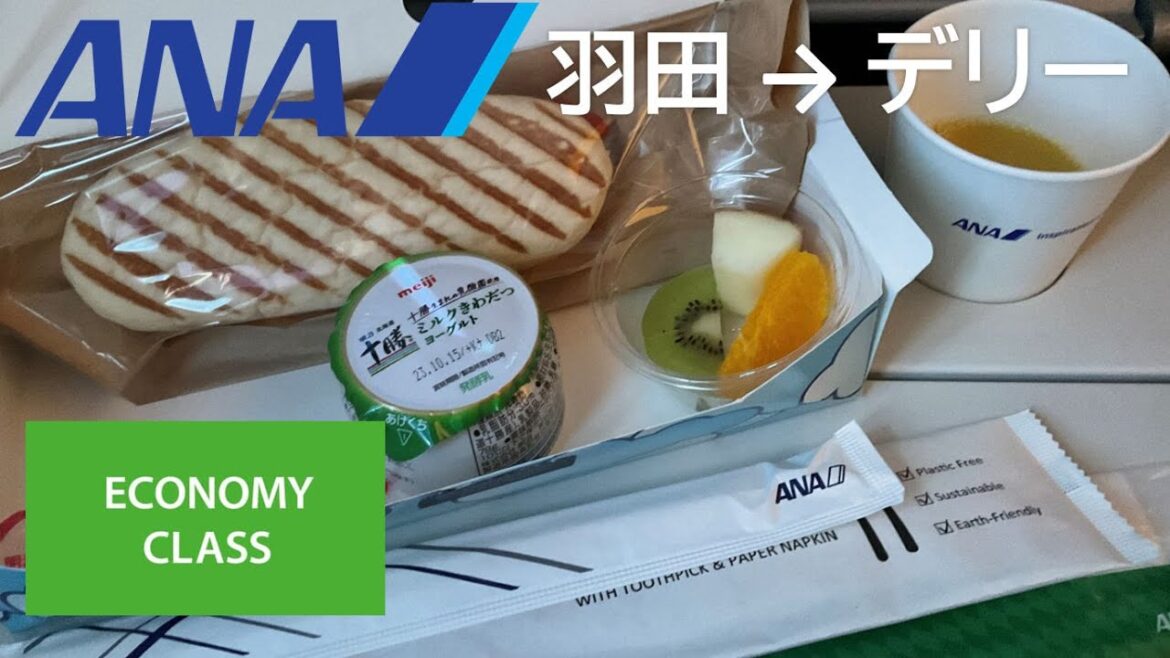 【ANAエコノミークラス軽食】ANA837便、羽田→デリー・インディラ・ガンディー国際空港 Economy class snacks