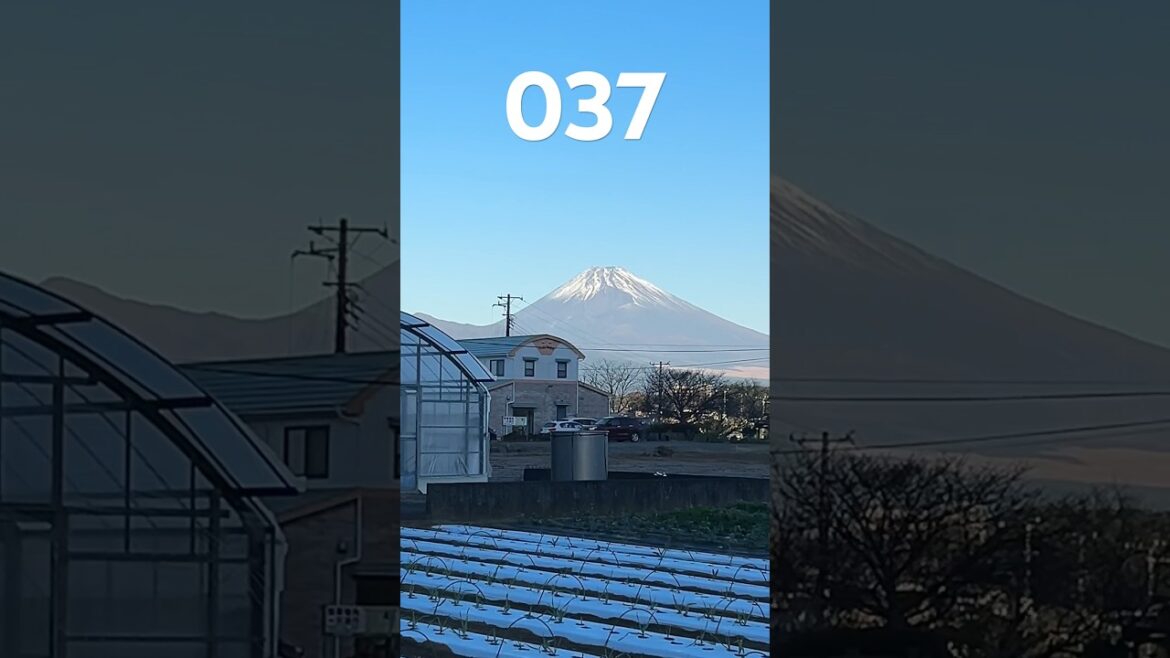 037 Mt. Fuji everyday! 2023, 12/01. Very clear! #mountfuji #fuji #富士山 037 Mt. Fuji everyday! 2023, 12/01. Very clear! #mountfuji #fuji #富士山