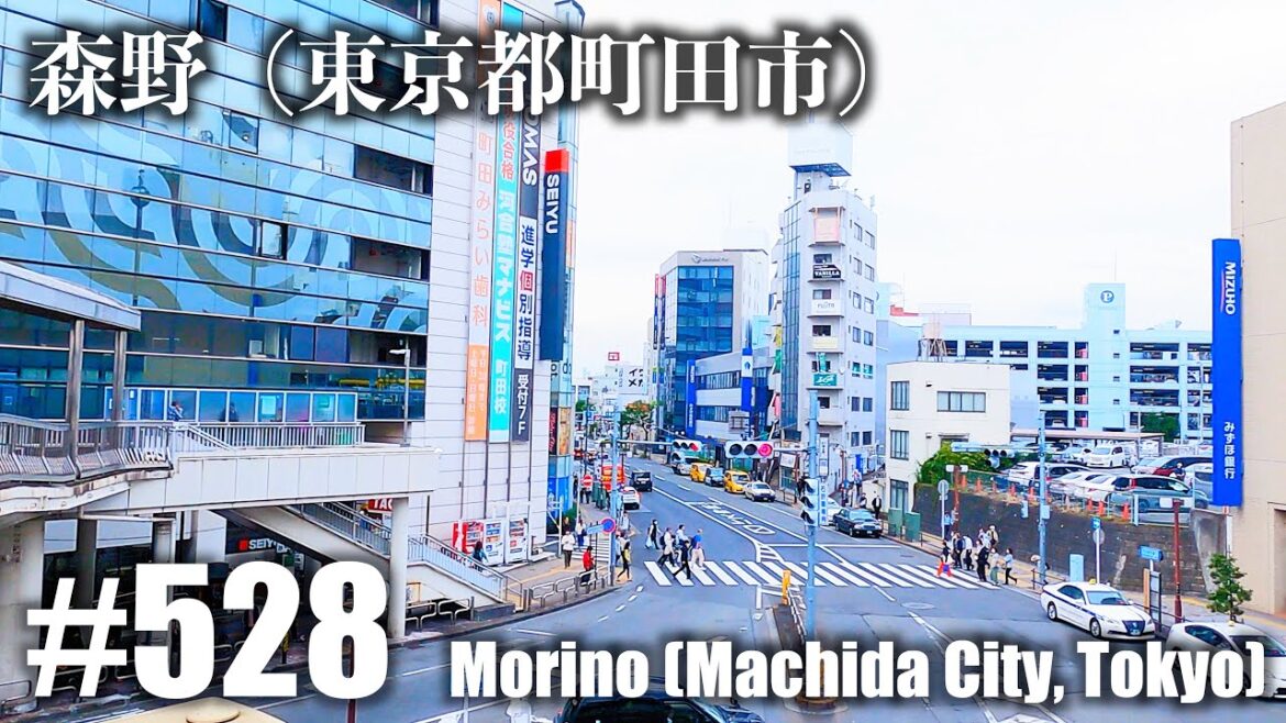 No.528【4K】森野（東京都町田市）