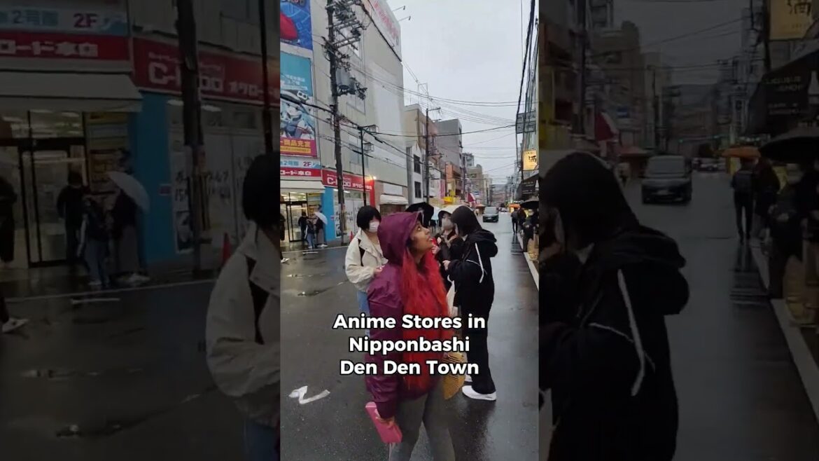 What To See or Do in Osaka? | Osaka Travel Guide, Japan #travelwithshreya #Japan #osaka #vegantravel