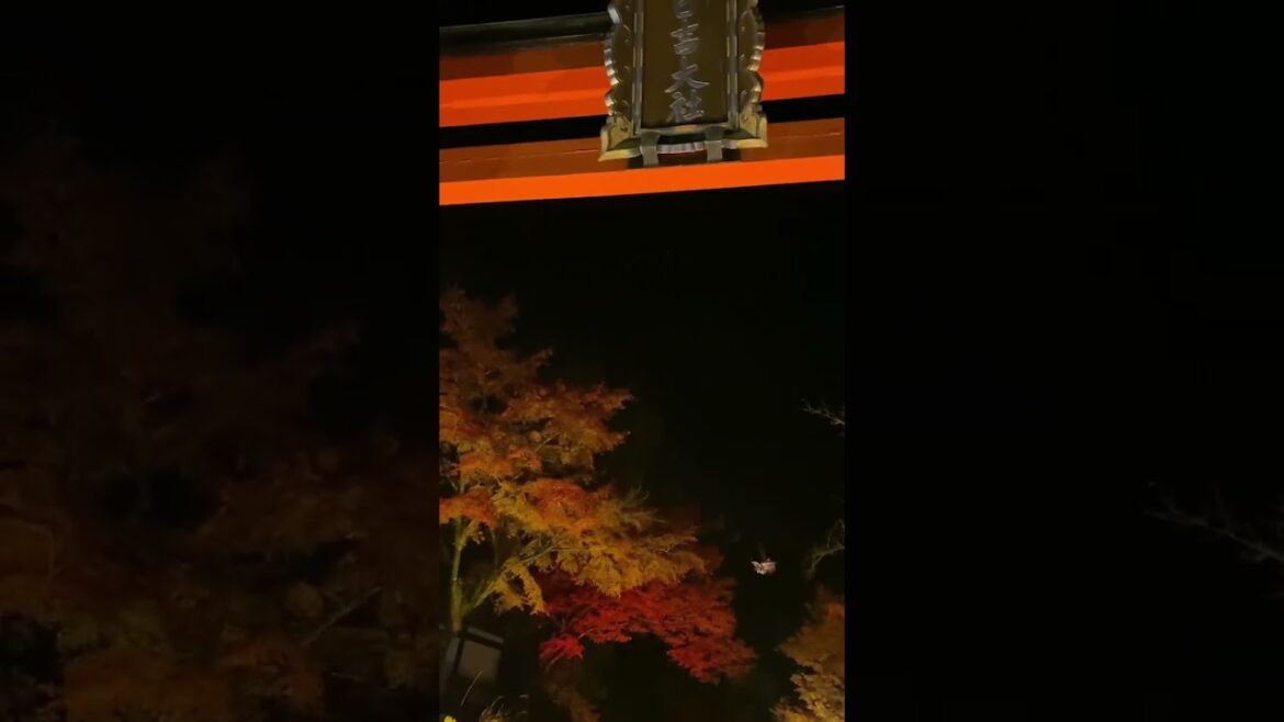 【JAPAN】Must-See Red Leaves Spot - Hiyoshi Taisha