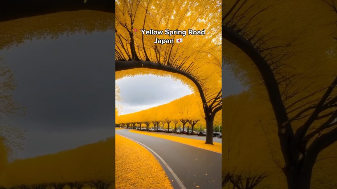 Unbelievable places on earth #shorts #beautiful #viral #nature #japan Unbelievable places on earth #shorts #beautiful #viral #nature #japan