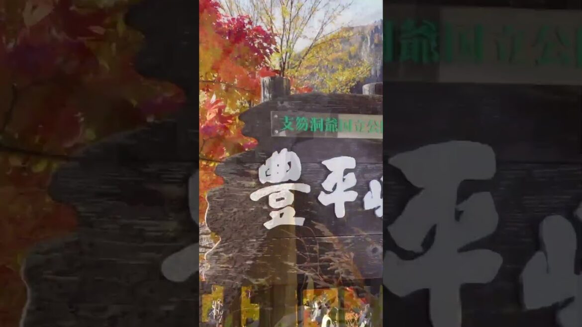 日本の絶景紅葉スポットがとても綺麗だった。#本編は概要欄から #shorts #北海道旅行 #北海道絶景 日本の絶景紅葉スポットがとても綺麗だった。#本編は概要欄から #shorts #北海道旅行 #北海道絶景