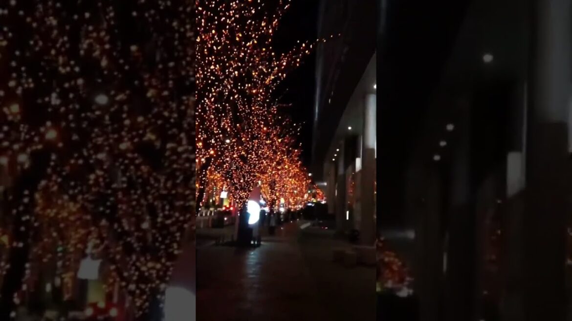 WINTER ILLUMINATIONS in TOKYO #tokyo #japan #japanese #illumination #winter WINTER ILLUMINATIONS in TOKYO #tokyo #japan #japanese #illumination #winter