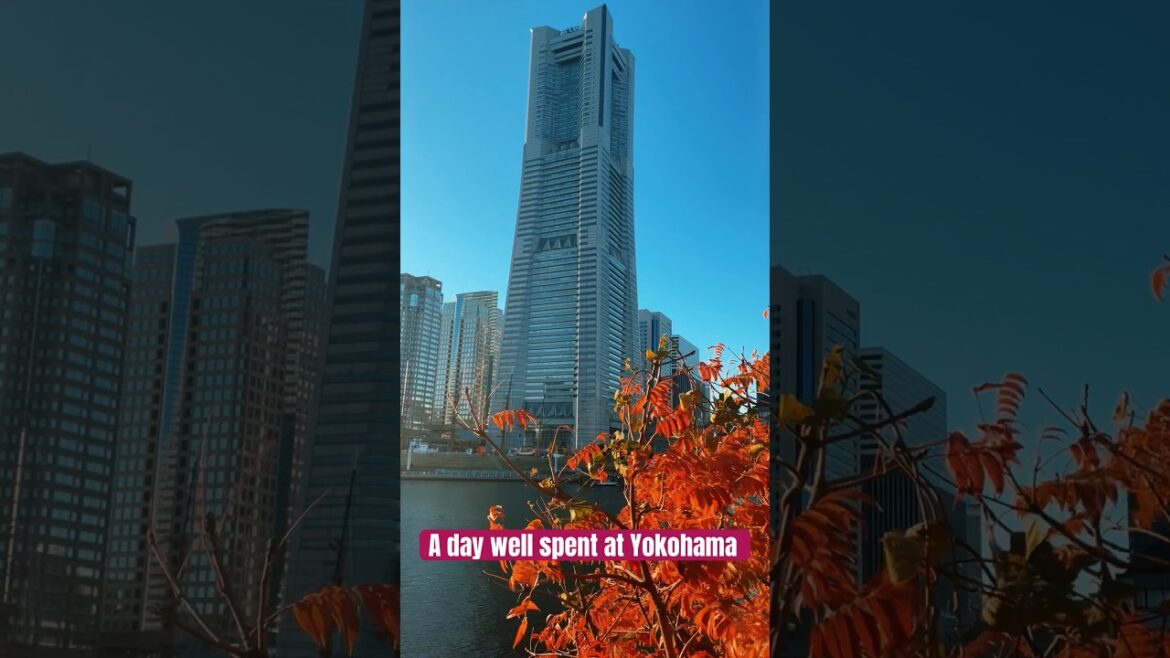 Immersing in Yokohama’s Beauty: A Day of Adventure and Tranquility #japan #shorts #yokohama Immersing in Yokohama's Beauty: A Day of Adventure and Tranquility #japan #shorts #yokohama