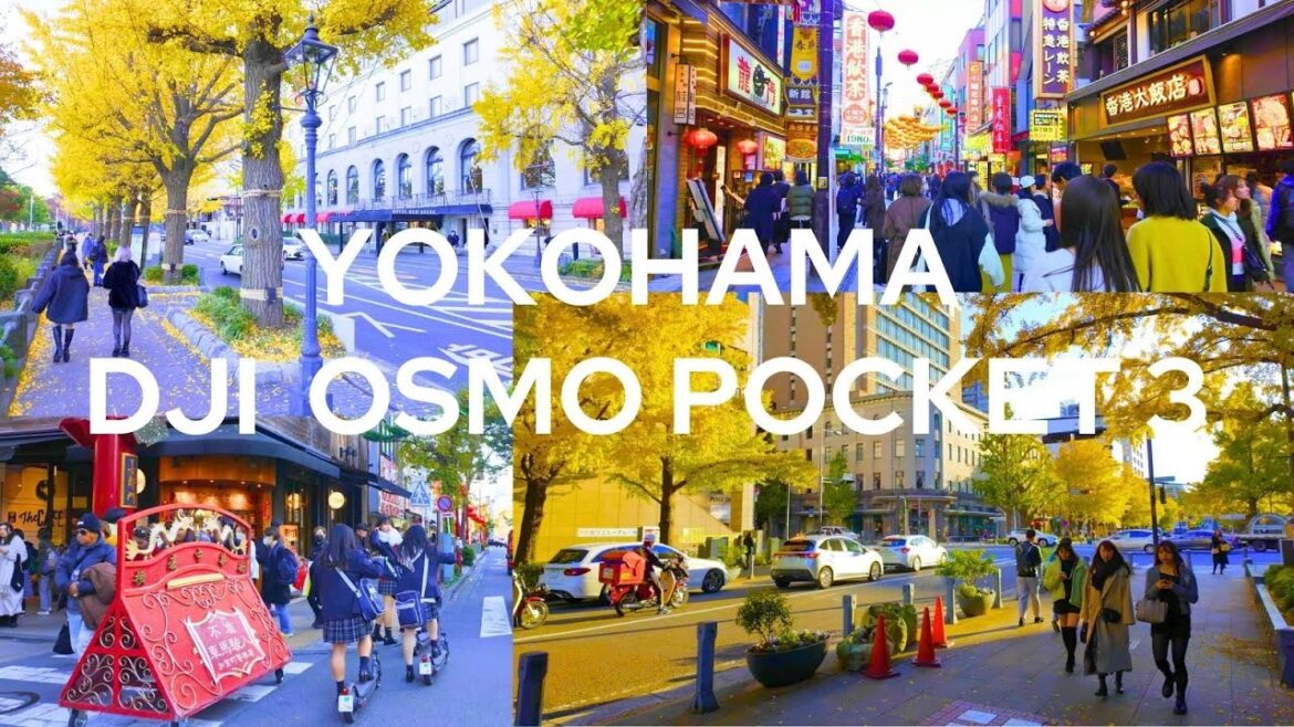 【4K🇯🇵】Beautiful gingko trees and high school girls riding electric kickboard with DJI Osmo Pocket 3