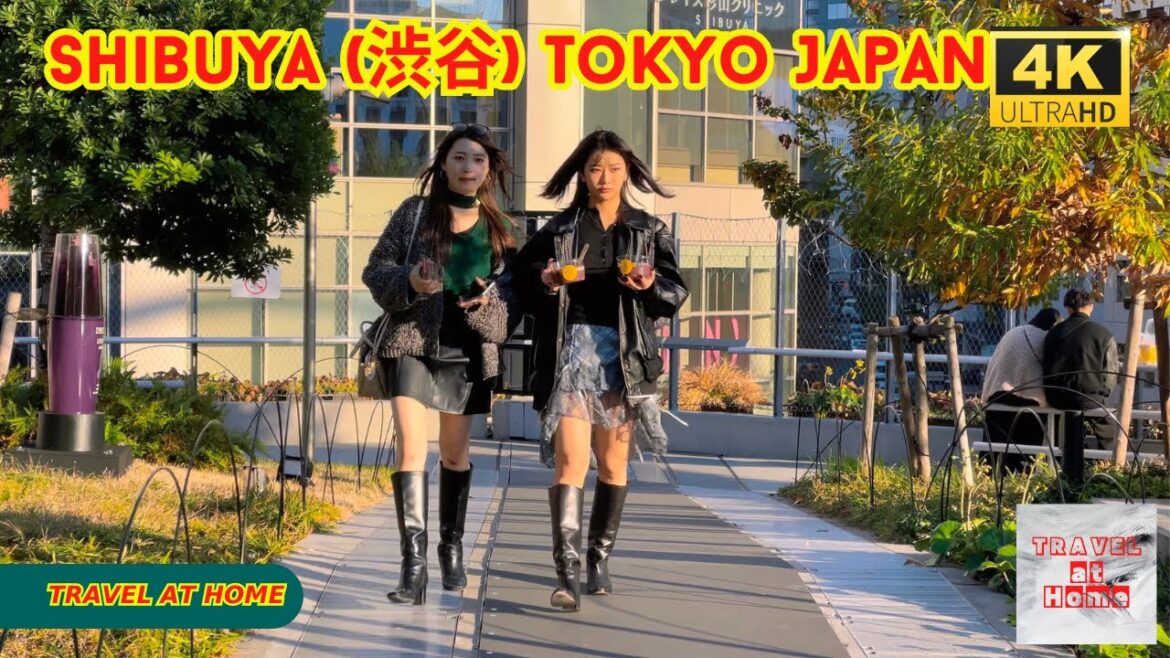 4k hdr japan travel | Walk in Shibuya (渋谷) Tokyo japan |  Relaxing Natural City ambience