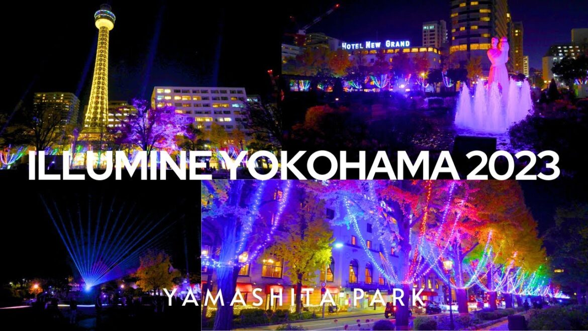 【4K🇯🇵】First “Illuminue Yokohama 2023” Illumination Event in Yamashita Park 【4K🇯🇵】First "Illuminue Yokohama 2023" Illumination Event in Yamashita Park