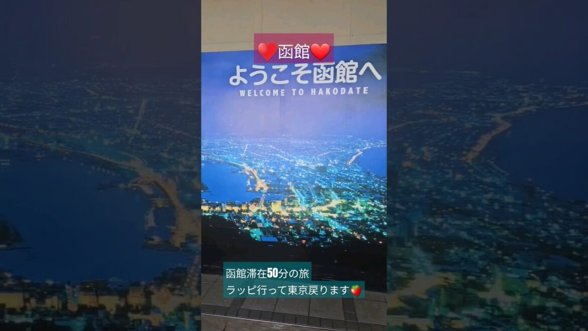 Love Hakodate ♥️函館❤️#函館 #hakodate #하코다테 #일본여행 #50分だけのランチ