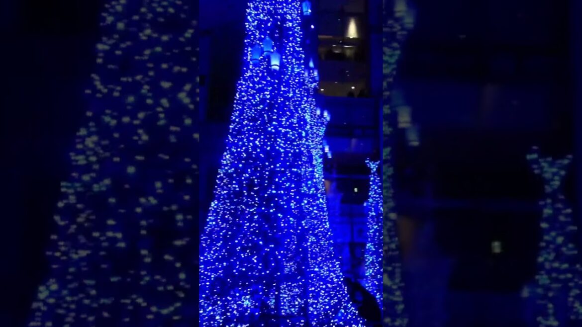 WINTER ILLUMINATIONS in TOKYO #tokyo #japan #japanese #illumination #winter