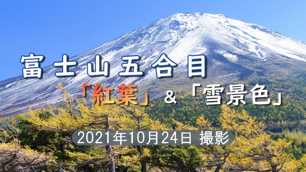 2021 『富士山五合目』 紅葉(黄葉)と雪景色（奥庭・御庭・御中道） [4K] "MtFuji 5th Sta." Autumn Leaves and Snow Scene