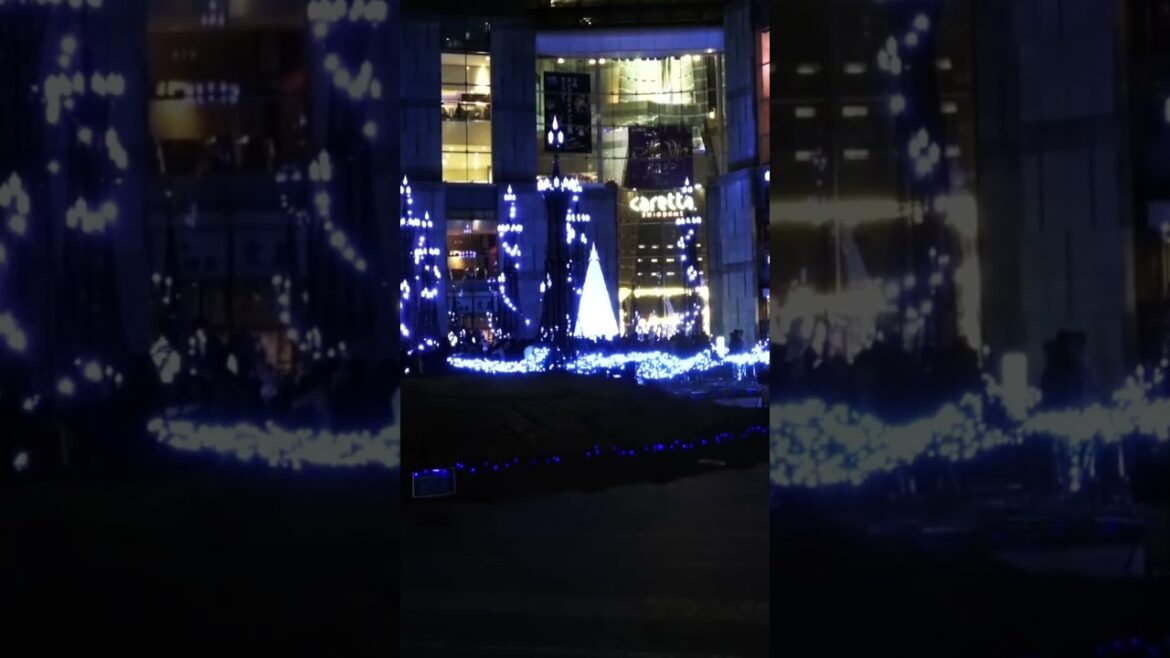 WINTER ILLUMINATIONS in TOKYO #tokyo #japan #japanese #illumination #winter