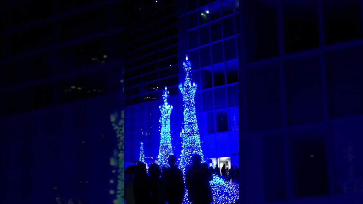 WINTER ILLUMINATIONS in TOKYO #tokyo #japan #japanese #illumination #winter