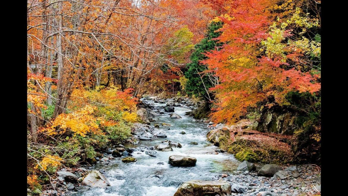 照葉峡の紅葉 2017 【最高画質】 Autumn Leaves at Teruhakyo, Japan