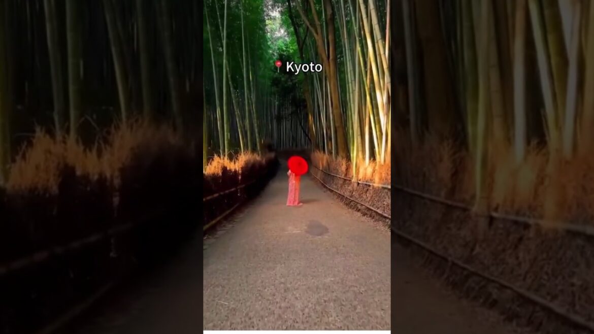 Japan Travel ☺️ #japan #travel #traveltips #travelguide Japan Travel ☺️ #japan #travel #traveltips #travelguide