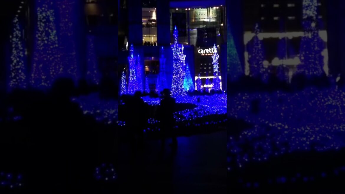 WINTER ILLUMINATIONS in TOKYO #tokyo #japan #japanese #illumination #winter