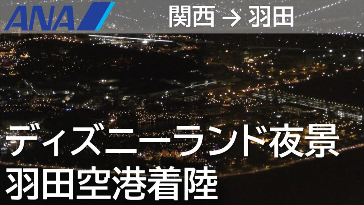 【夜間着陸／CAアナウンス～羽田空港B滑走路着陸】ANA98便、関西国際空港→羽田空港 Night landing at Haneda Airport