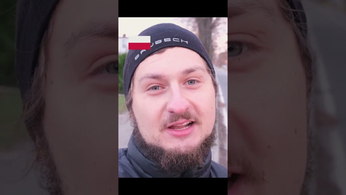 Absurdalna granica na środku drogi 1/2