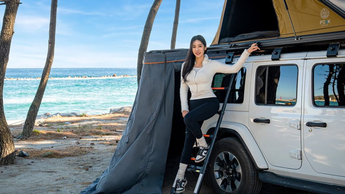 -5℃ 끝장나는 루프탑 텐트 달고 떠난 푸른 겨울 바다 캠핑🌊ㅣ피크 PEAKㅣ디바스토 무시동히터ㅣ노지캠핑 -5℃ 끝장나는 루프탑 텐트 달고 떠난 푸른 겨울 바다 캠핑🌊ㅣ피크 PEAKㅣ디바스토 무시동히터ㅣ노지캠핑