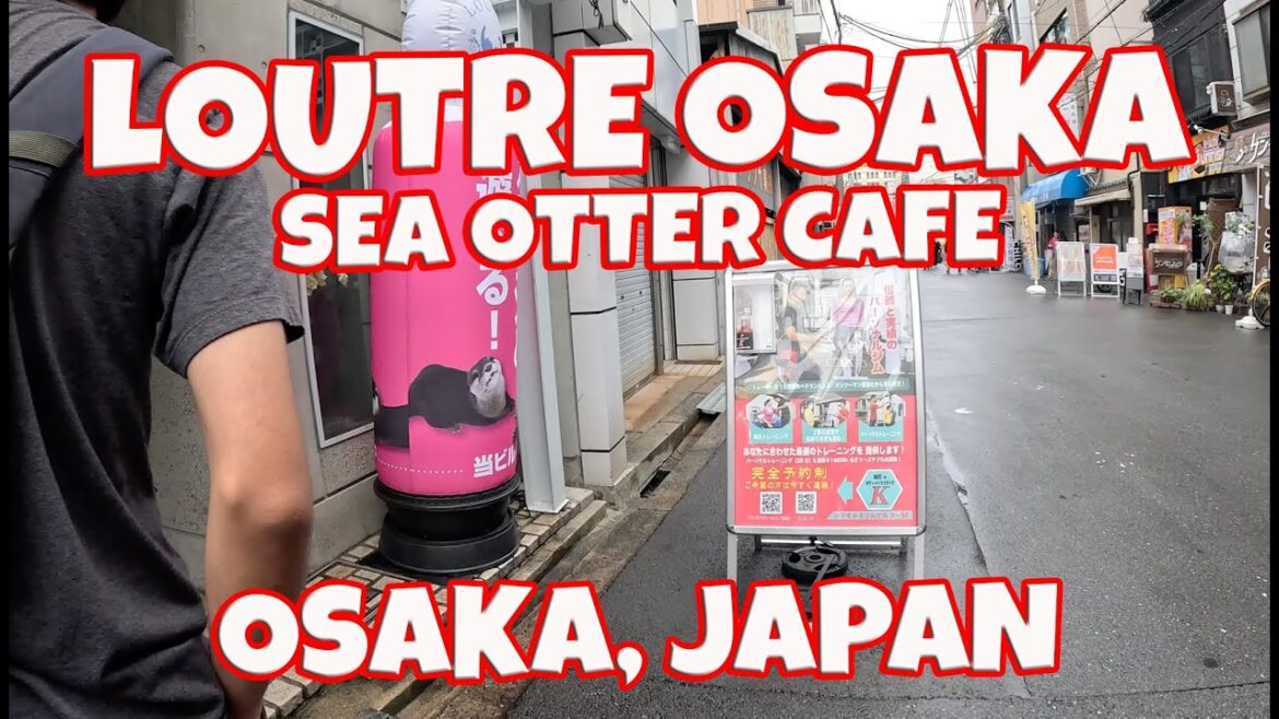 Dobutsuen mae Station, Namba Station, Loutre Osaka Sea Otter Cafe Osaka Japan